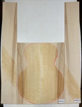 Back & Sides Sycamore / Europ. Maple, Western Size, Unique Piece #013